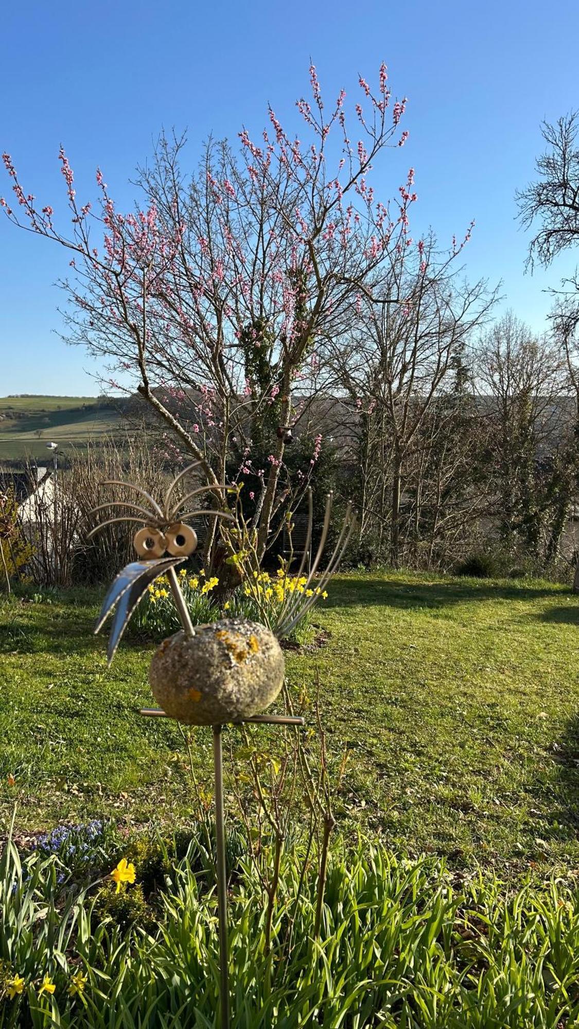 Panoramablick Apartman Bad Sobernheim Kültér fotó